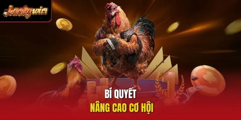 Bí quyết nâng cao cơ hội